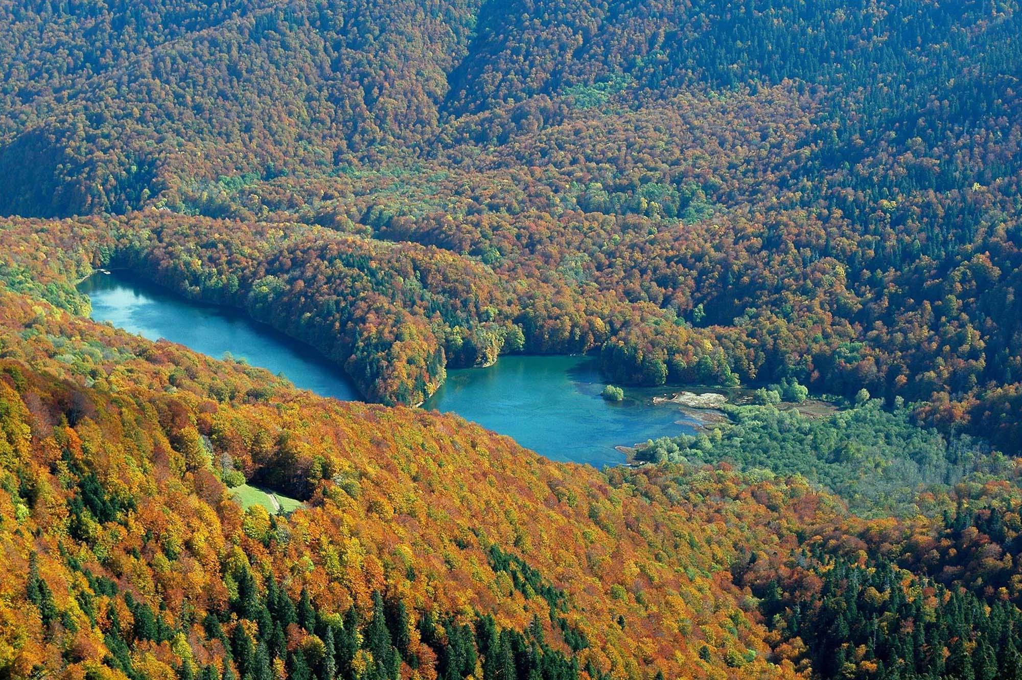 biogradska-gora-1