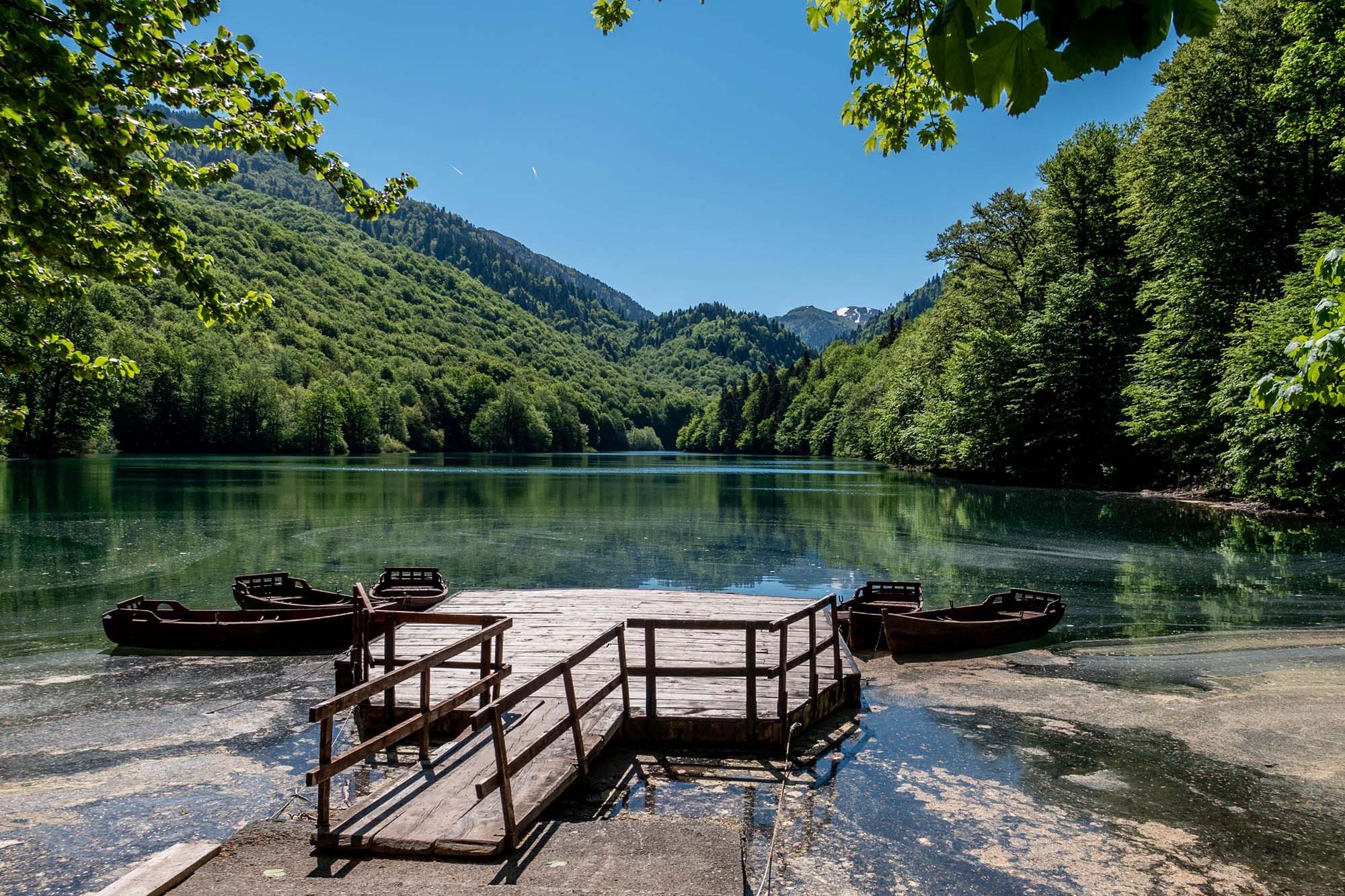 A scenic view of the Biogradska Gora national park in Montenegro.